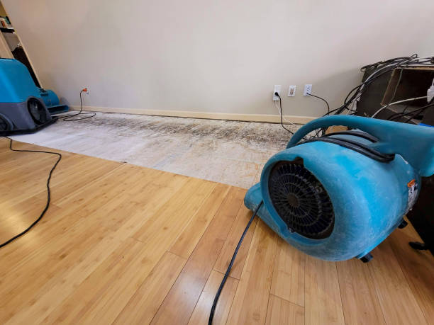 Professional Water Removal technician working in Warnock, OH